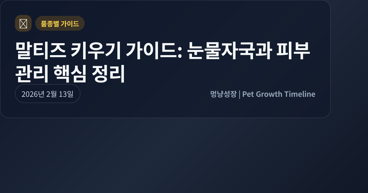 말티즈 키우기 가이드: 눈물자국과 피부관리 핵심 정리 대표 이미지