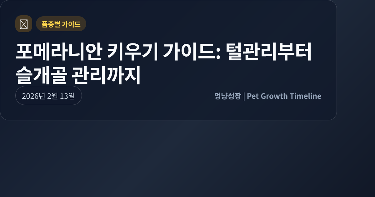 포메라니안 키우기 가이드: 털관리부터 슬개골 관리까지 대표 이미지