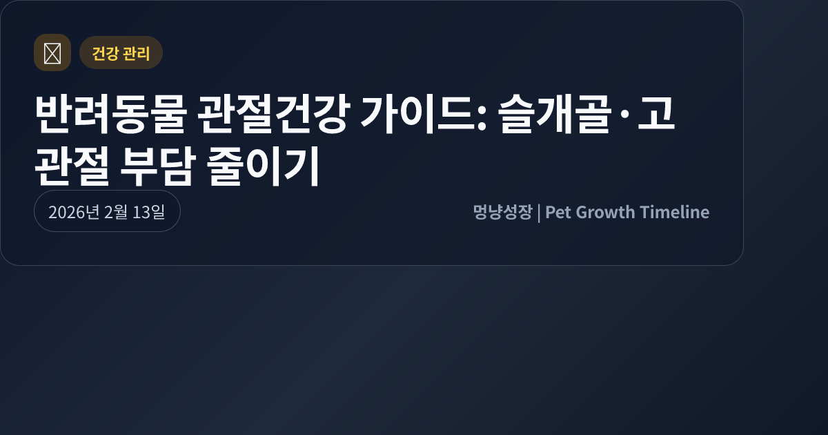 반려동물 관절건강 가이드: 슬개골·고관절 부담 줄이기 대표 이미지