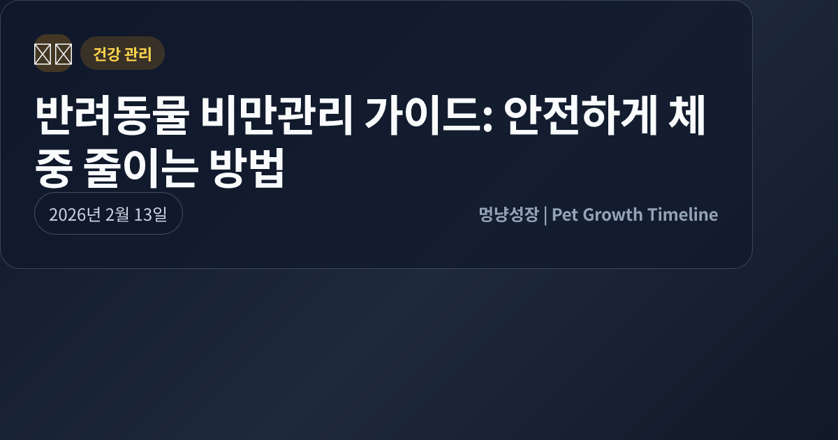 반려동물 비만관리 가이드: 안전하게 체중 줄이는 방법 대표 이미지