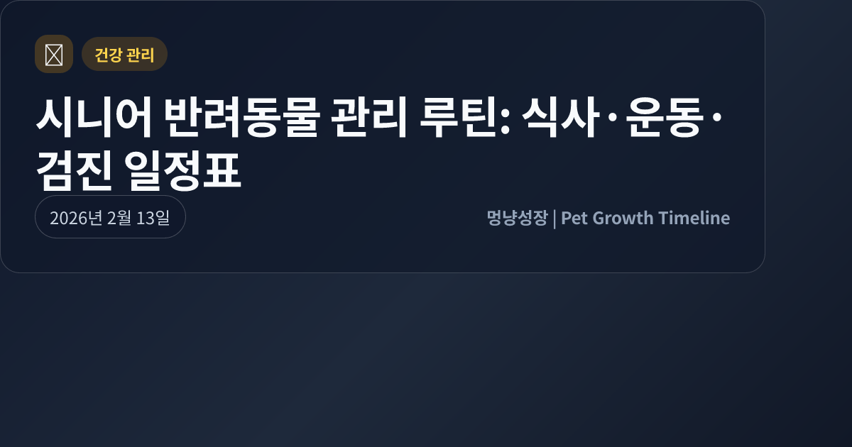 시니어 반려동물 관리 루틴: 식사·운동·검진 일정표 대표 이미지