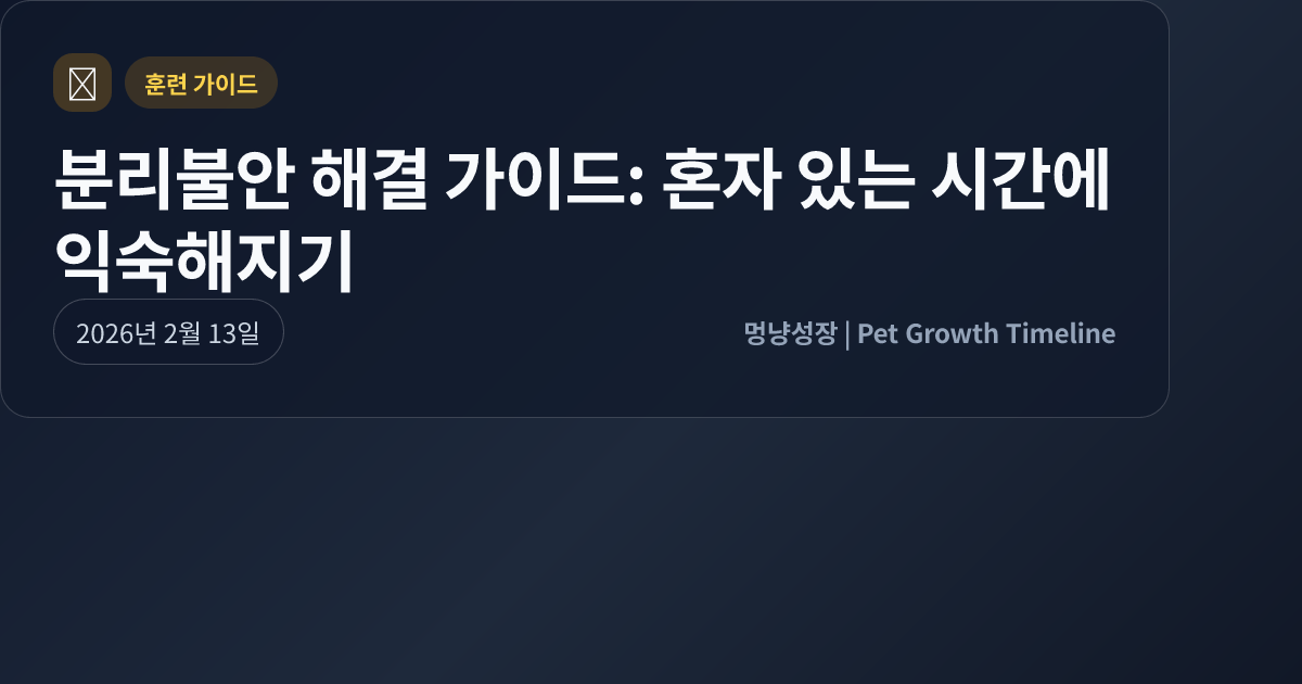 분리불안 해결 가이드: 혼자 있는 시간에 익숙해지기 대표 이미지